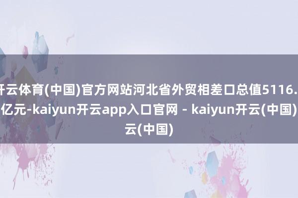 开云体育(中国)官方网站河北省外贸相差口总值5116.9亿元-kaiyun开云app入口官网 - kaiyun开云(中国)