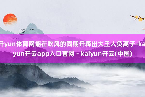 开yun体育网能在吹风的同期开释出大王人负离子-kaiyun开云app入口官网 - kaiyun开云(中国)