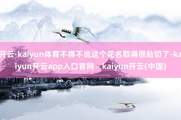 开云·kaiyun体育不得不说这个花名取得很贴切了-kaiyun开云app入口官网 - kaiyun开云(中国)