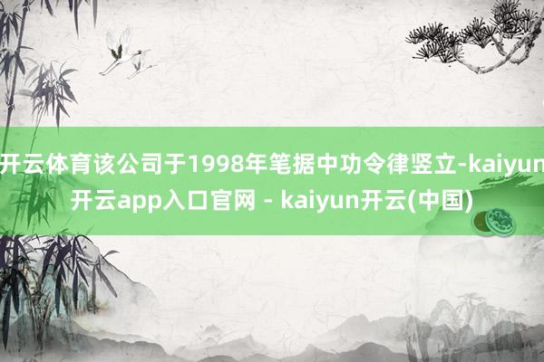 开云体育该公司于1998年笔据中功令律竖立-kaiyun开云app入口官网 - kaiyun开云(中国)